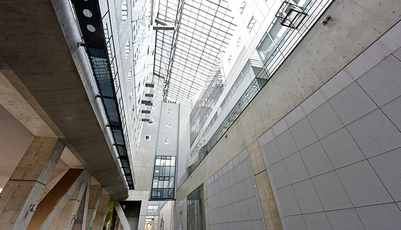 丽星娱乐网会员注册 『岬の兄妹』（18）で長編映画監督デビューし日本映画批評家大賞新人監督賞、ヨコハマ映画祭新人監督賞などを受賞した